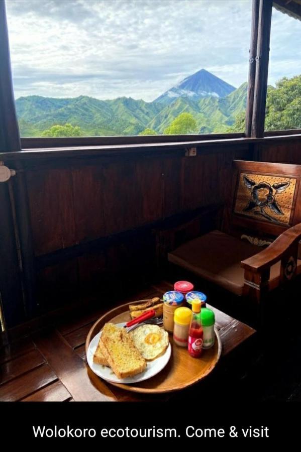 Home Stay Wolokoro Ecotourism Bajawa Exteriör bild