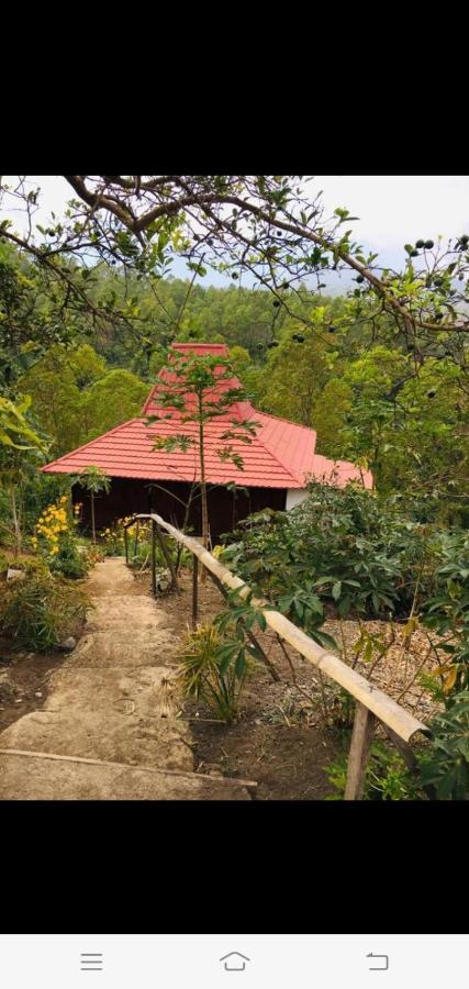 Home Stay Wolokoro Ecotourism Bajawa Exteriör bild
