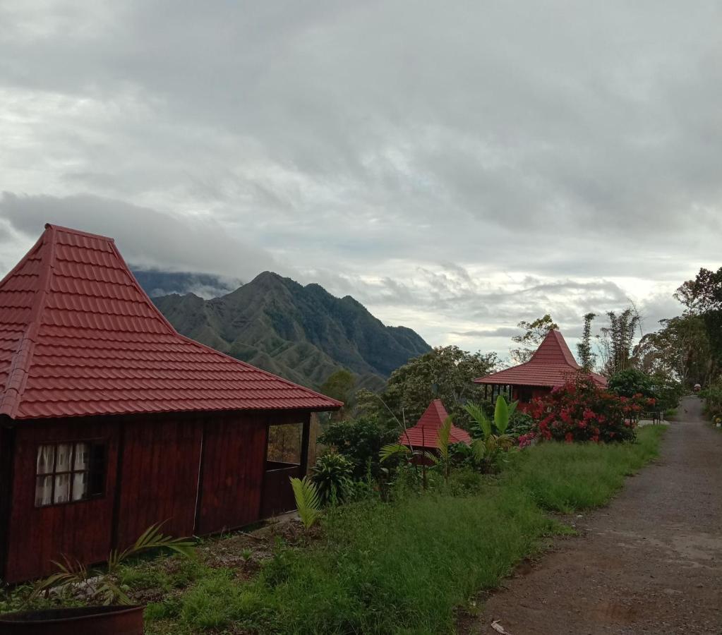 Home Stay Wolokoro Ecotourism Bajawa Exteriör bild