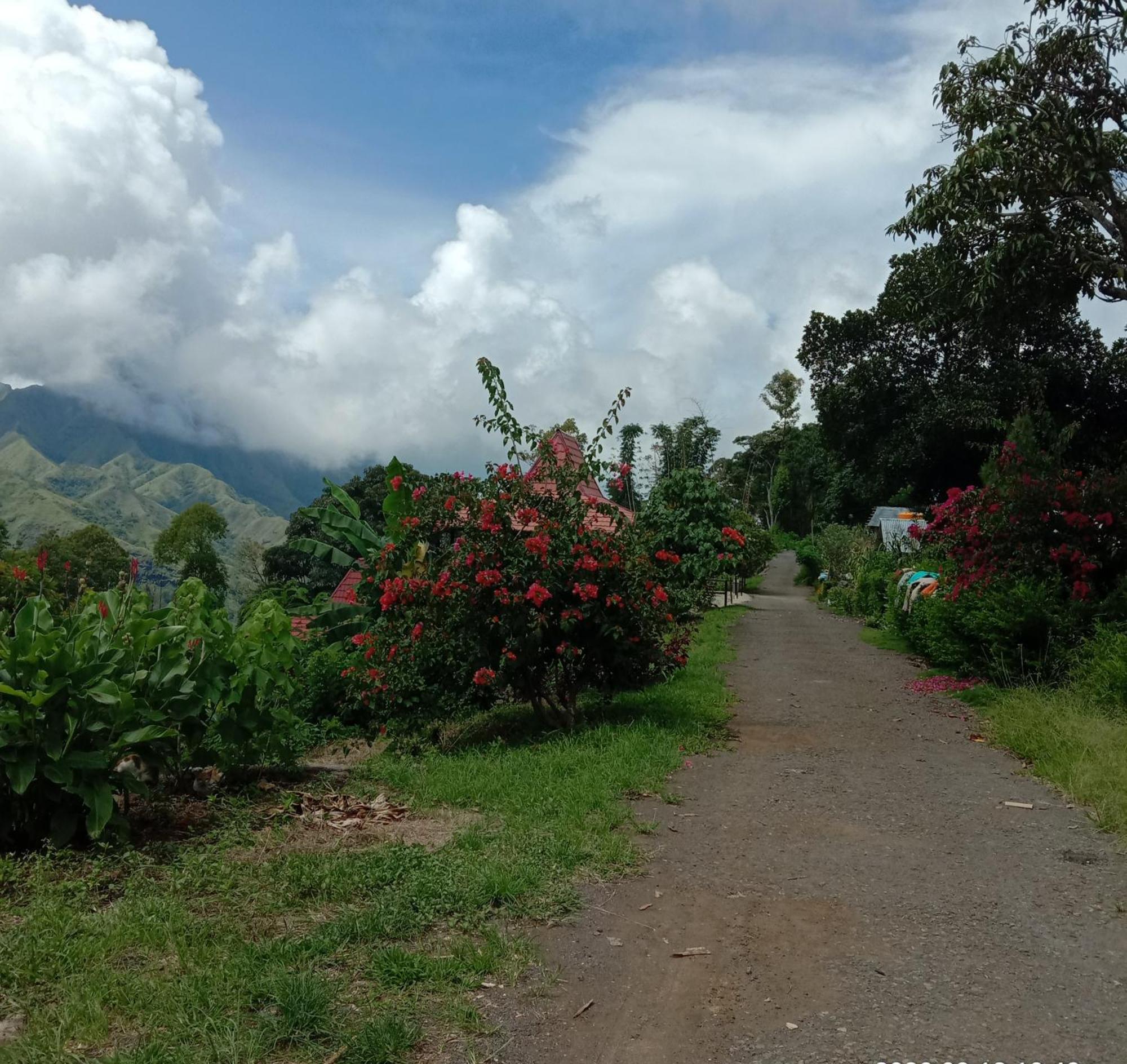 Home Stay Wolokoro Ecotourism Bajawa Rum bild