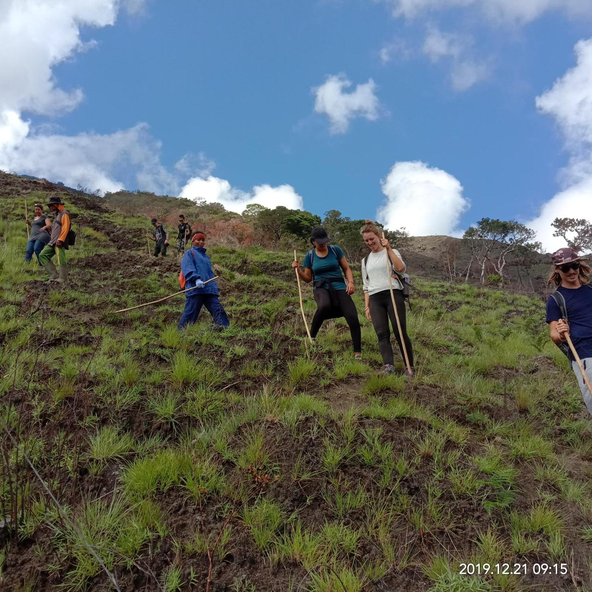 Home Stay Wolokoro Ecotourism Bajawa Rum bild